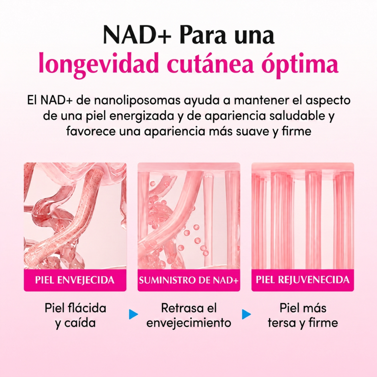 Sistema de Cuidado y Renovación de la Piel Fiorellana™